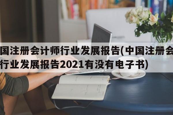 中国注册会计师行业发展报告(中国注册会计师行业发展报告2021有没有电子书)