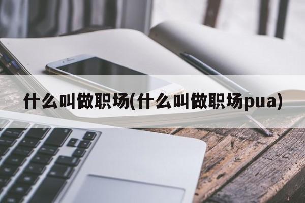 什么叫做职场(什么叫做职场pua)